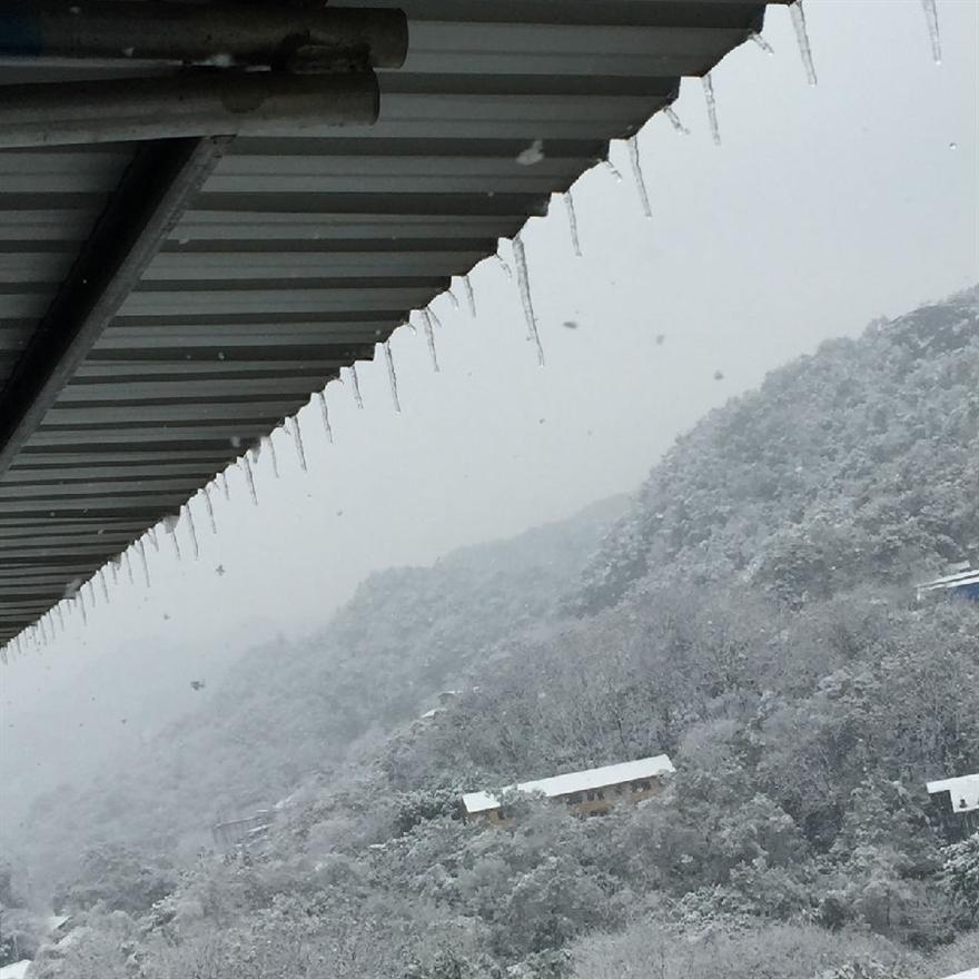 濾油機_重慶的雪美極啦